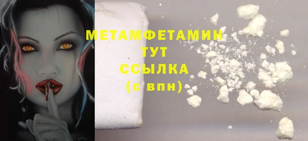 ПСИЛОЦИБИНОВЫЕ ГРИБЫ Инсар