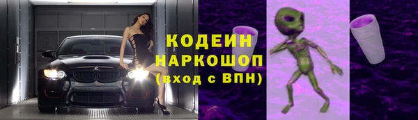 ПСИЛОЦИБИНОВЫЕ ГРИБЫ Инсар