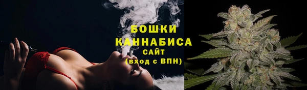 ПСИЛОЦИБИНОВЫЕ ГРИБЫ Инсар