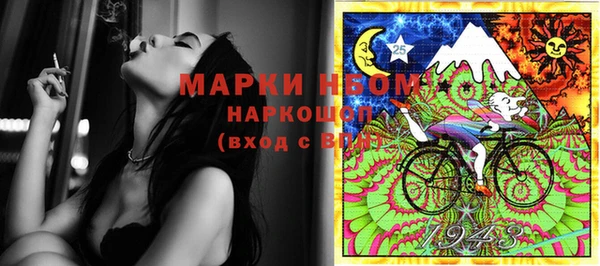 ПСИЛОЦИБИНОВЫЕ ГРИБЫ Инсар