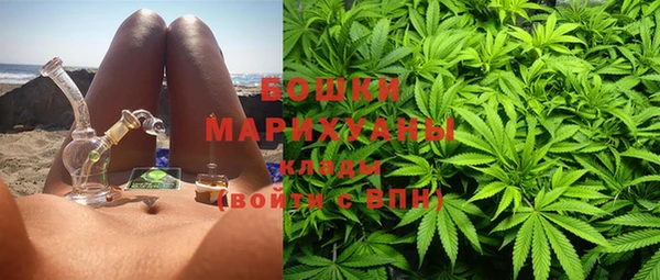 Альфа ПВП Инта