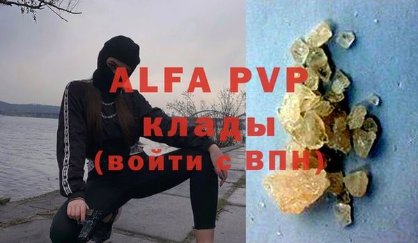 Альфа ПВП Инта