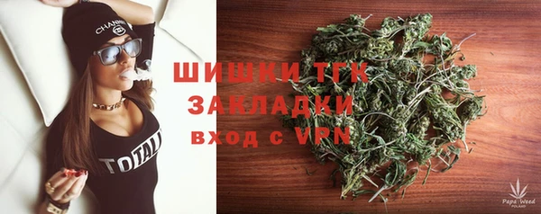 Альфа ПВП Инта